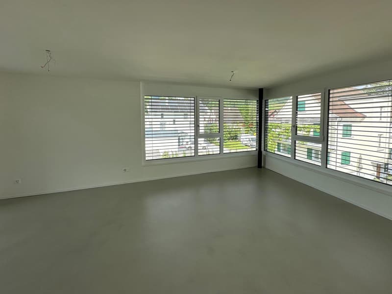 Moderne 3.5-Zimmer-Wohnung (2)