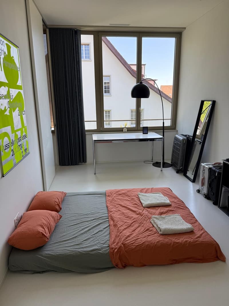 Light-Filled Top-Floor Flat in Zürich (8005) (6)