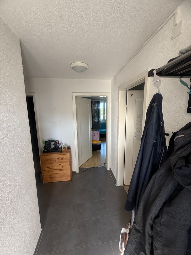 3 Zimmer-Wohnung (4)