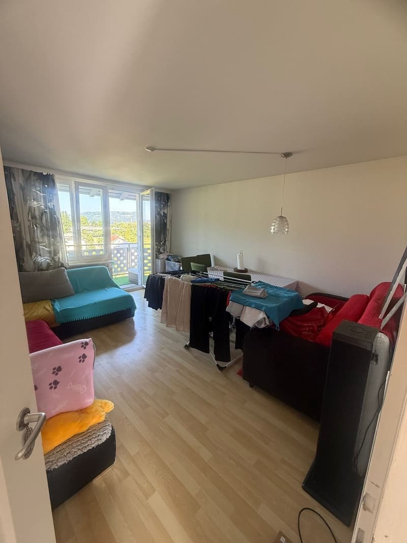 3 Zimmer-Wohnung (1)