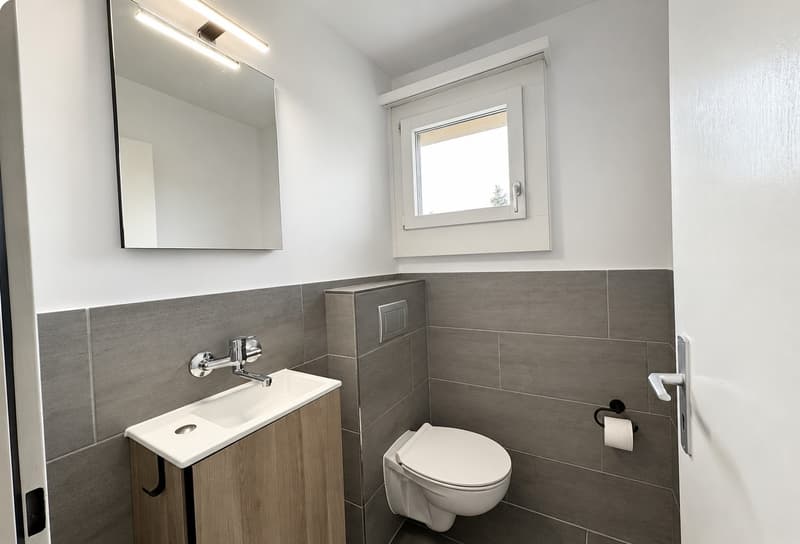 Bright & Renovated 4.5-Room Apartment in Quiet Cham Neighbourhood Available immediately / by agreement (9)