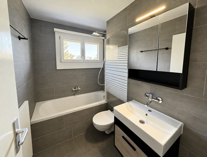 Bright & Renovated 4.5-Room Apartment in Quiet Cham Neighbourhood Available immediately / by agreement (8)