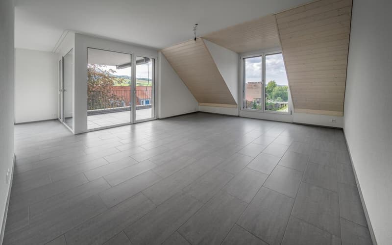 Grosse Maisonette Wohnung (2)