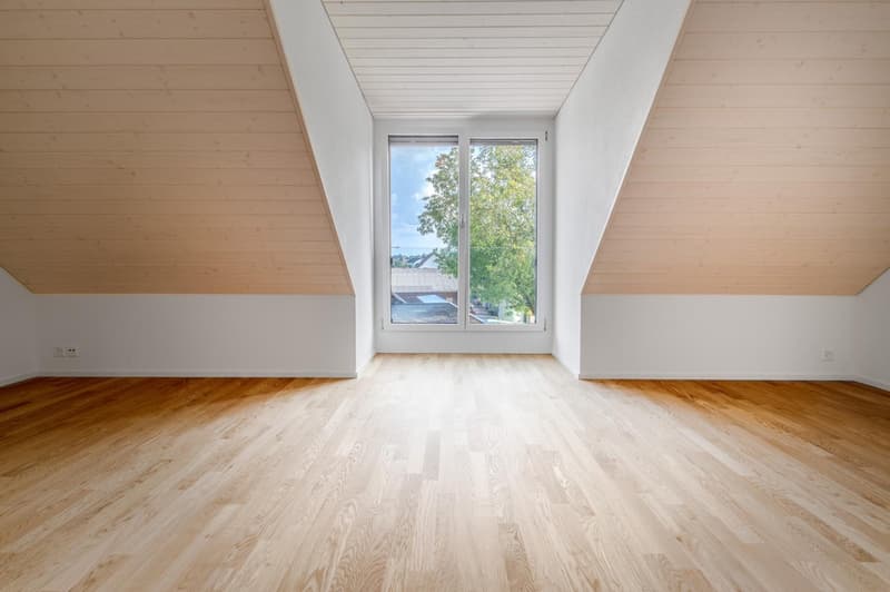 Grosse Maisonette Wohnung (6)