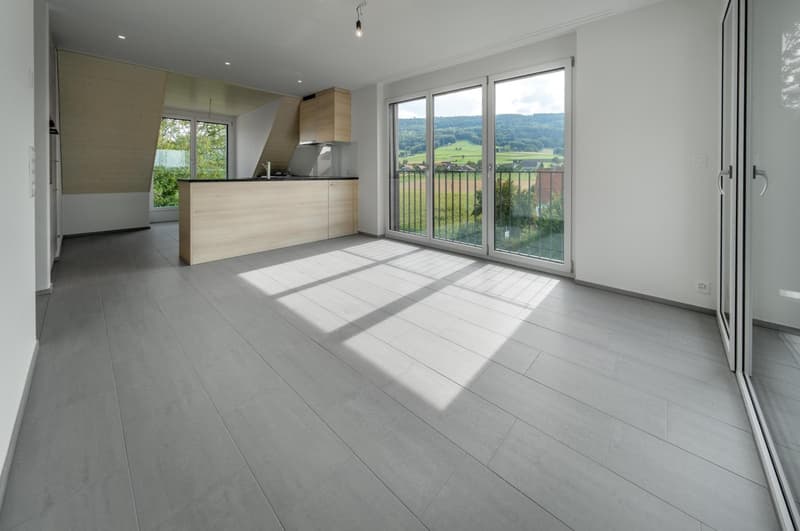 Grosse Maisonette Wohnung (8)