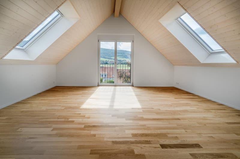 Grosse Maisonette Wohnung (1)
