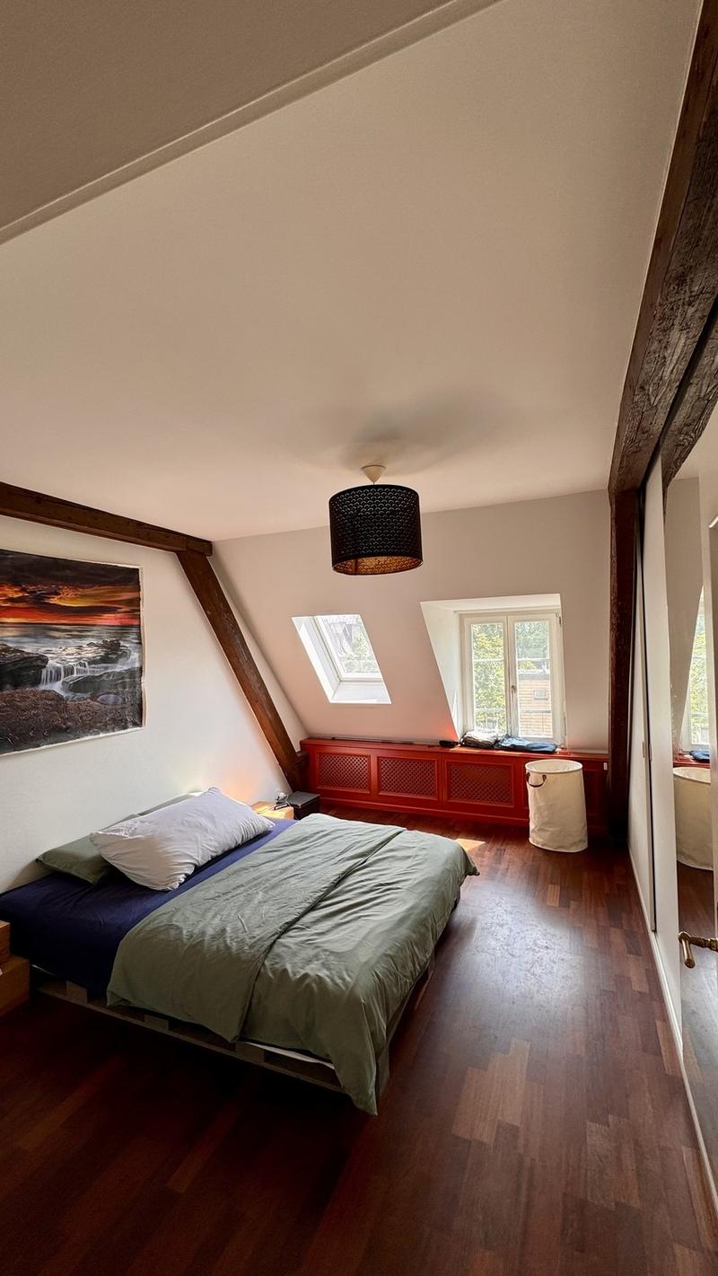 Befristete Attikawohnung mit 60 m² Dachterrasse im Kreis 6 (6)