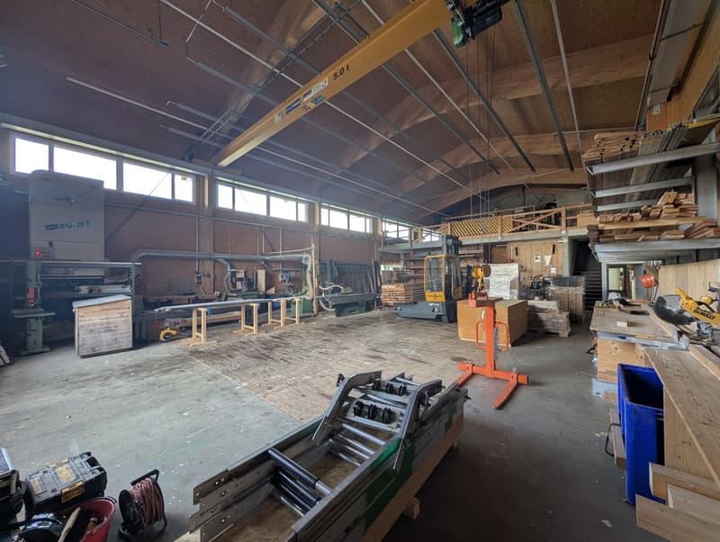 Gewerbehalle mit Kran, Lager und Büro in Lausen (6)
