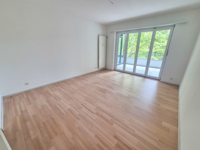 Erstvermietung: 107 m² auf 3.5 Zimmer am Zolli komplett renoviert, 2 Balkone und Wintergarten (4)
