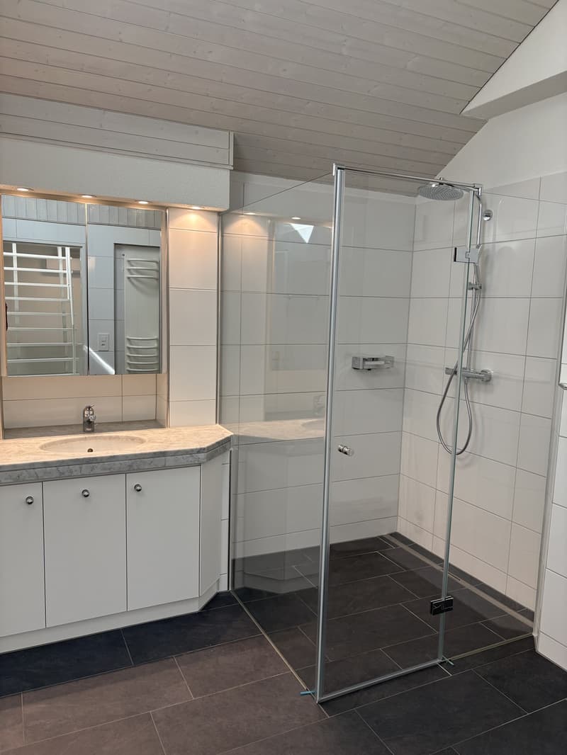 Wohnen mitten in der Stadt ruhig, stilvoll und mit besonderem Charme und eigenem SPA (4)