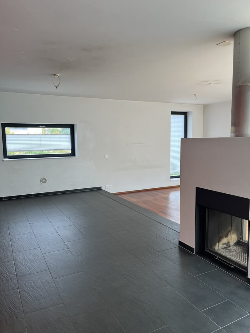 Modernes Einfamilienhaus mit Pool zu vermieten (2)