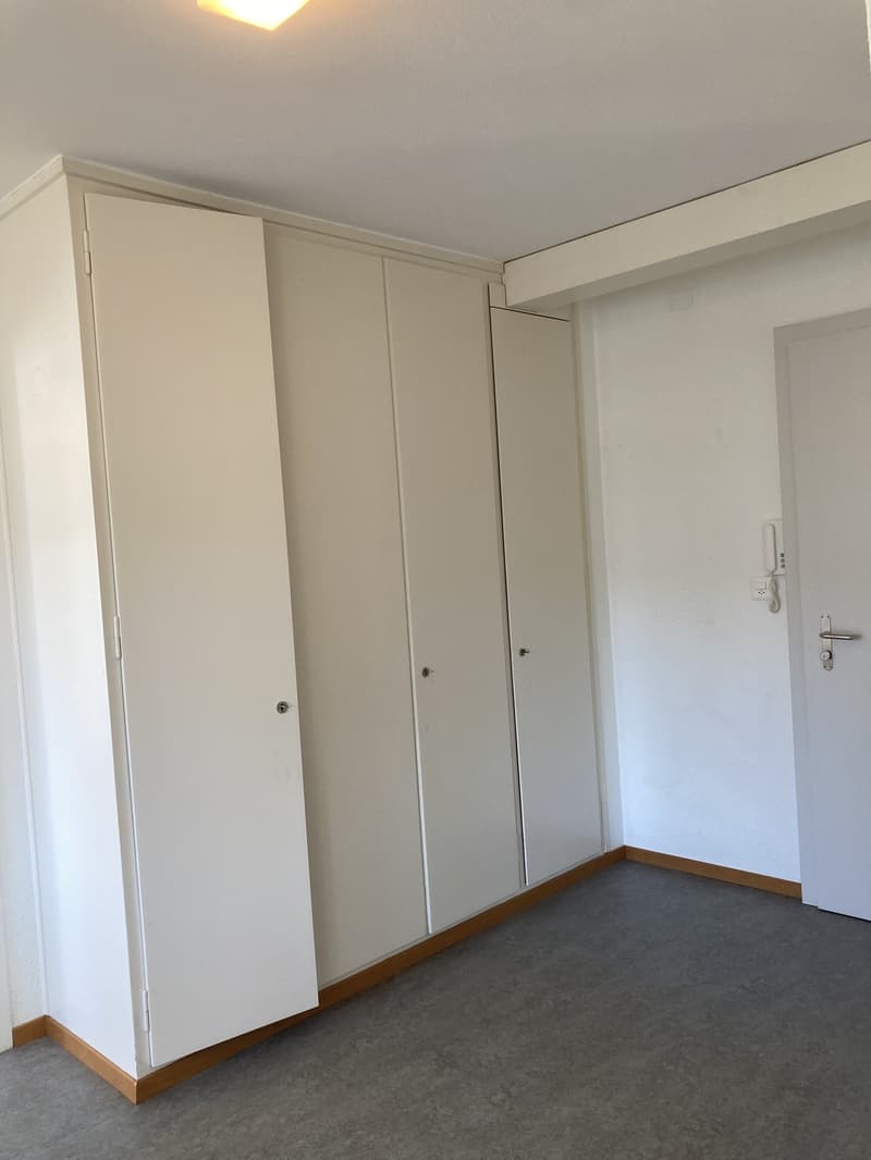 Geräumige und helle Wohnung (7)