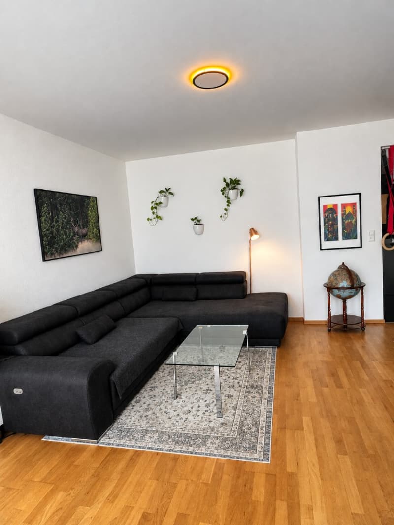 Möblierte 2-Zimmer-Wohnung im Zentrum von Basel (2)