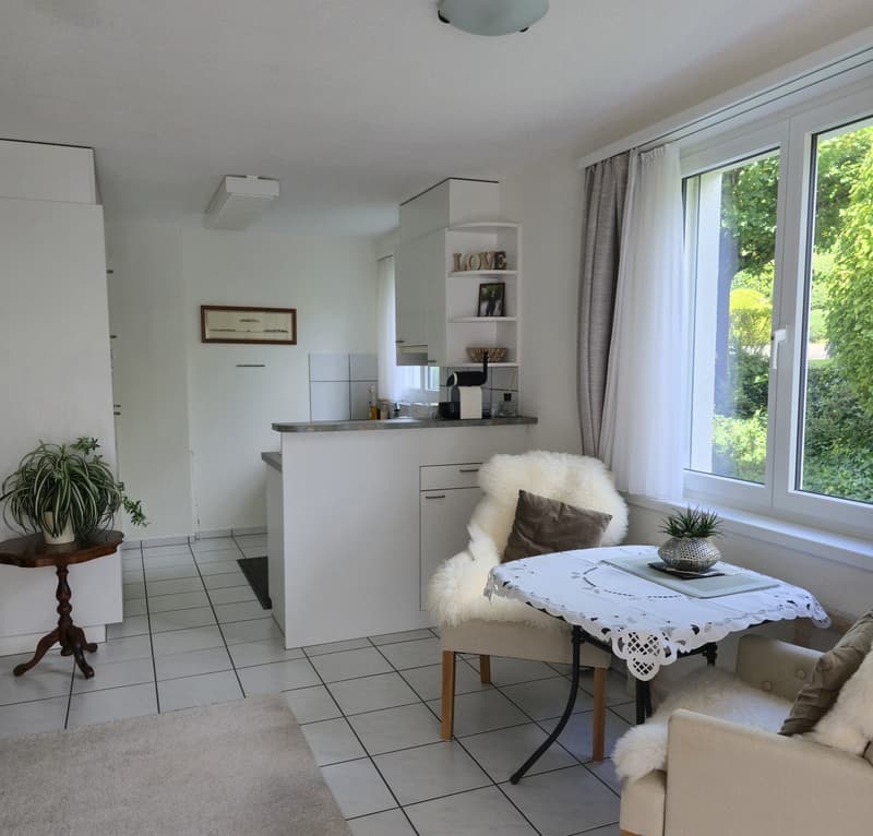 Helle 1.5-Zimmer-Wohnung mit Gartensitzplatz und Einstellhallenplatz (2)