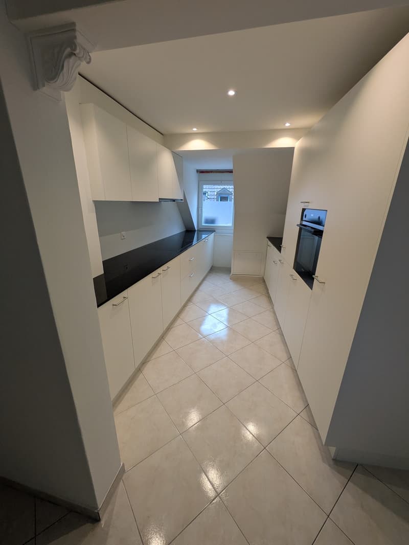 Über den Dächern der Stadt grosszügige Attikawohnung mit traumhafter Dachterrasse (8)