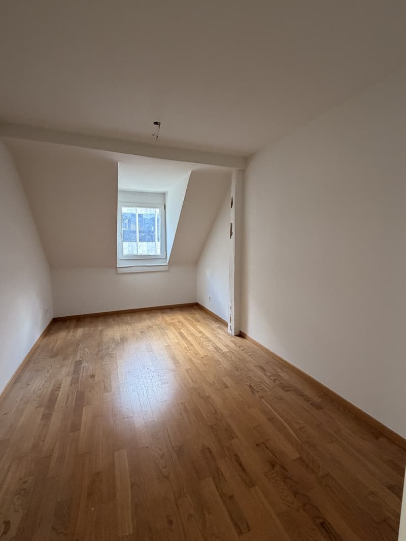 Über den Dächern der Stadt grosszügige Attikawohnung mit traumhafter Dachterrasse (10)