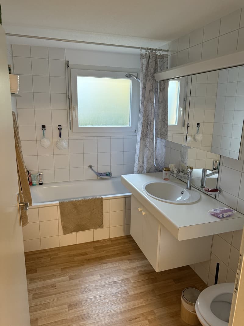 Möblierte 4.5 Zimmer Wohnung befristet zu vermieten (9)