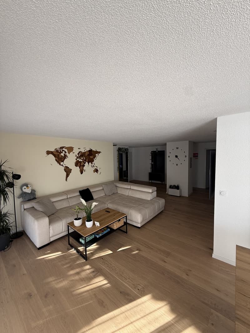Möblierte 4.5 Zimmer Wohnung befristet zu vermieten (2)