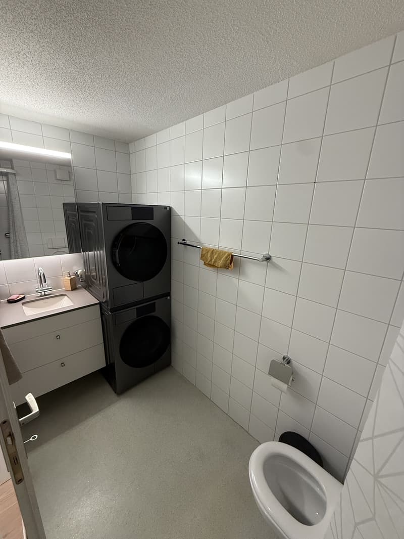 Möblierte 4.5 Zimmer Wohnung befristet zu vermieten (10)