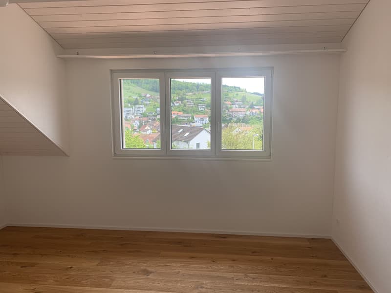 Dachterrasse, Weitblick und Wohnen auf zwei Etagen (10)