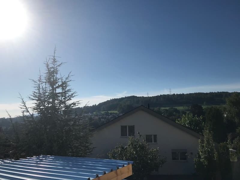 Dachterrasse, Weitblick und Wohnen auf zwei Etagen (6)