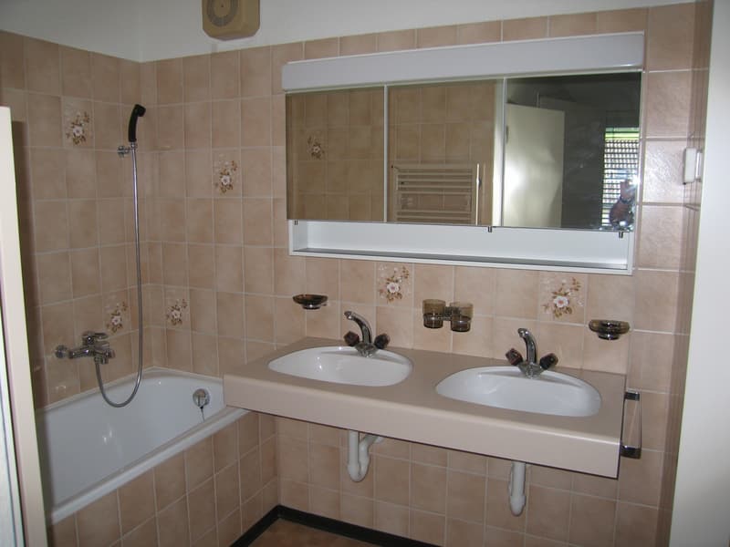 3½-Zimmer-Dach-Maisonette-Wohnung 113 m² (4)