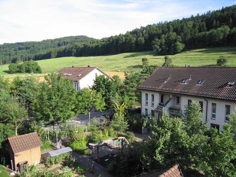 3½-Zimmer-Dach-Maisonette-Wohnung 113 m² (3)