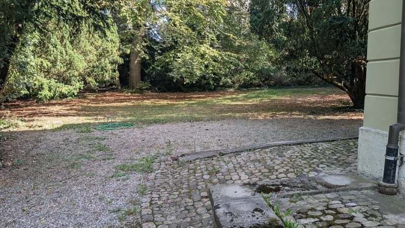 4.5 Zimmerwohnung in alter Villa und Bahnhofsnähe (2)