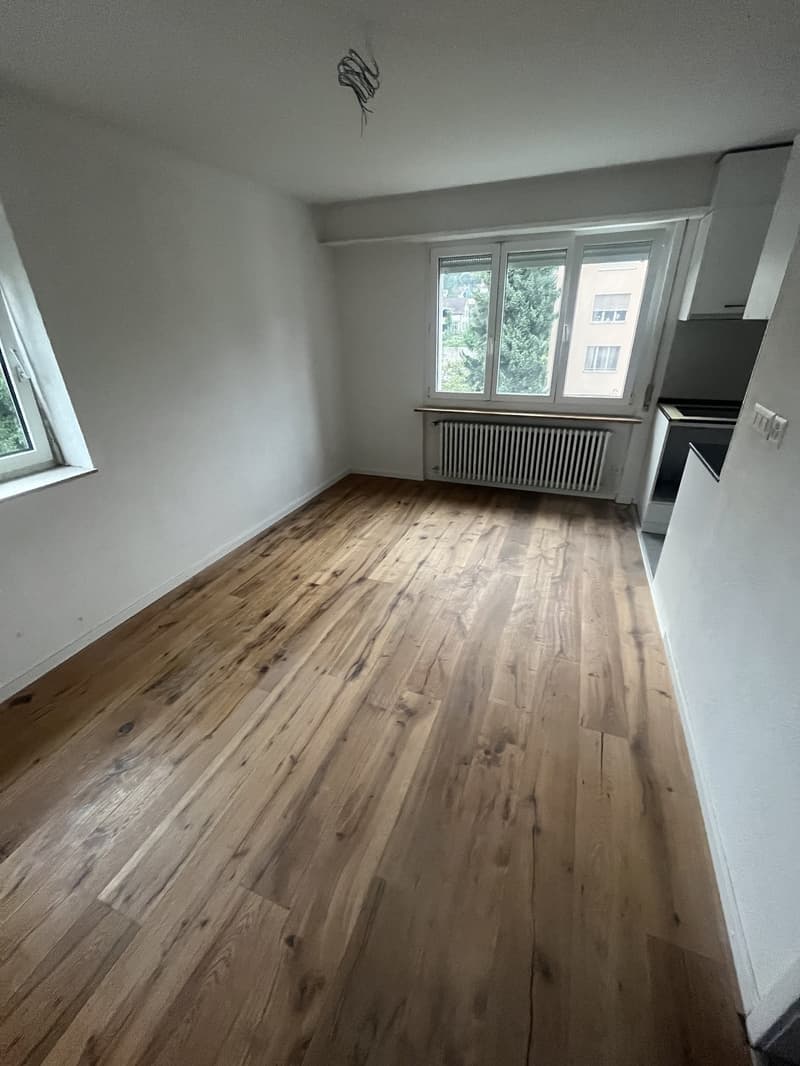 Charmante, modern ausgebaute Studiowohnung im Tössfeld-Quartier (3)