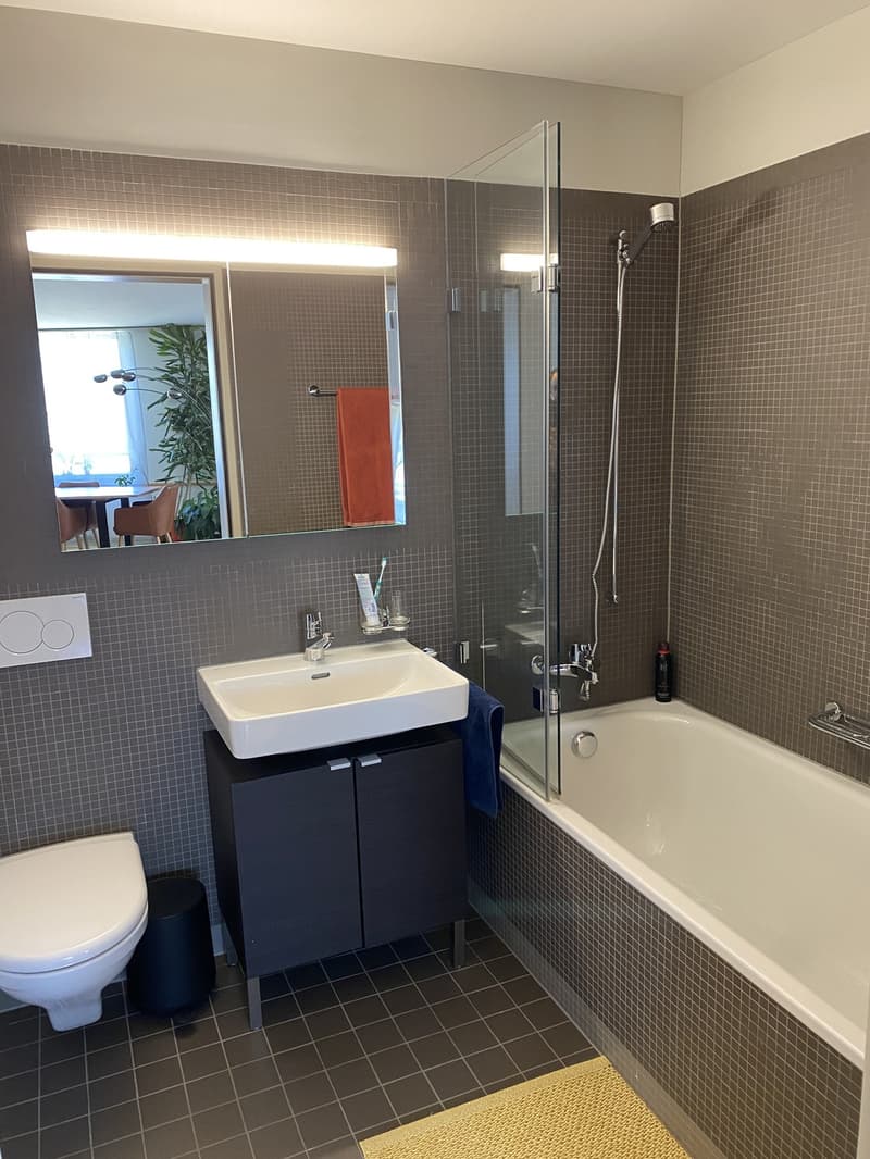 Möblierte 2.5-Zimmer-Wohnung mit Balkon beim Zürich HB | Fully Furnished 2.5-Room Apartment with Balcony next to Zurich main station (7)