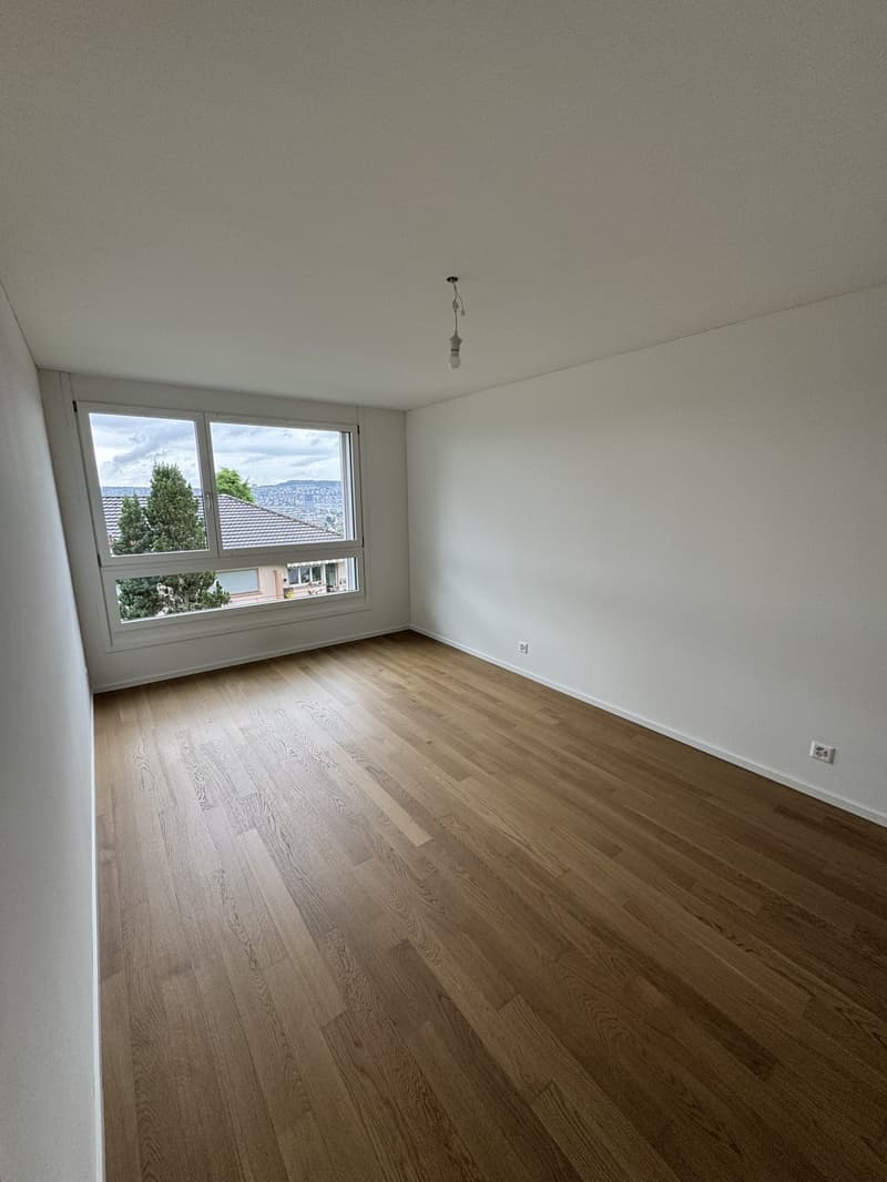 Schöne 2,5 Zimmer-Wohnung in Zürich (3)
