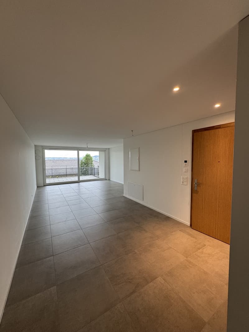 Schöne 2,5 Zimmer-Wohnung in Zürich (1)