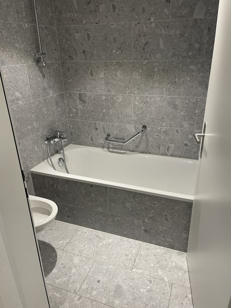 Nachmieter/in per sofort gesucht. wunderschöne 2,5-Zimmer-Wohnung in der Altstadt von Schaffhausen (4)