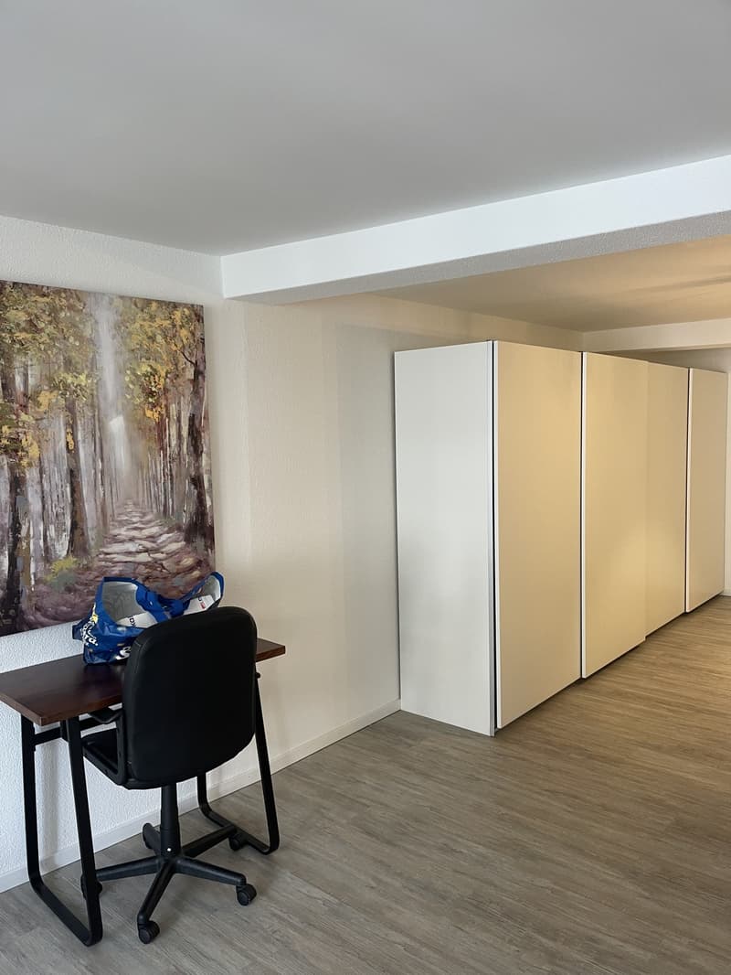Nachmieter/in per sofort gesucht. wunderschöne 2,5-Zimmer-Wohnung in der Altstadt von Schaffhausen (5)
