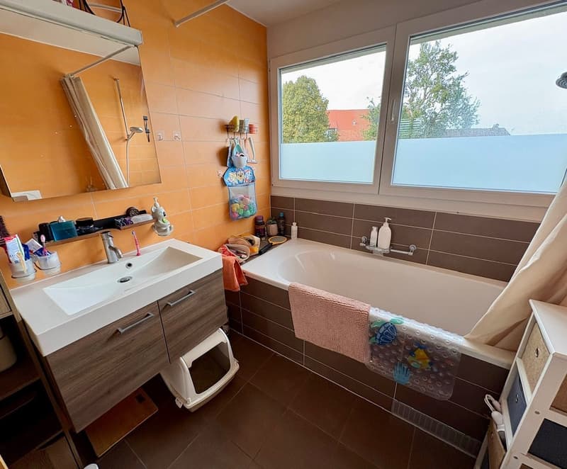 Appartement 3,5pces à louer dès le 1er novembre ou à définir (3)