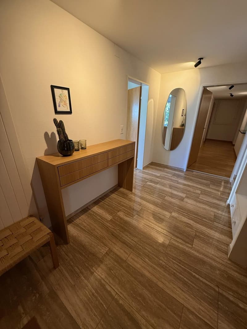 Freshly renovated and Furnished Apartment with Garden, Lake Views and Mid-Century Modern Style (10)
