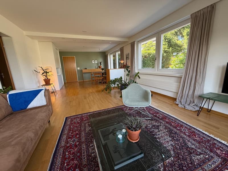 Freshly renovated and Furnished Apartment with Garden, Lake Views and Mid-Century Modern Style (2)