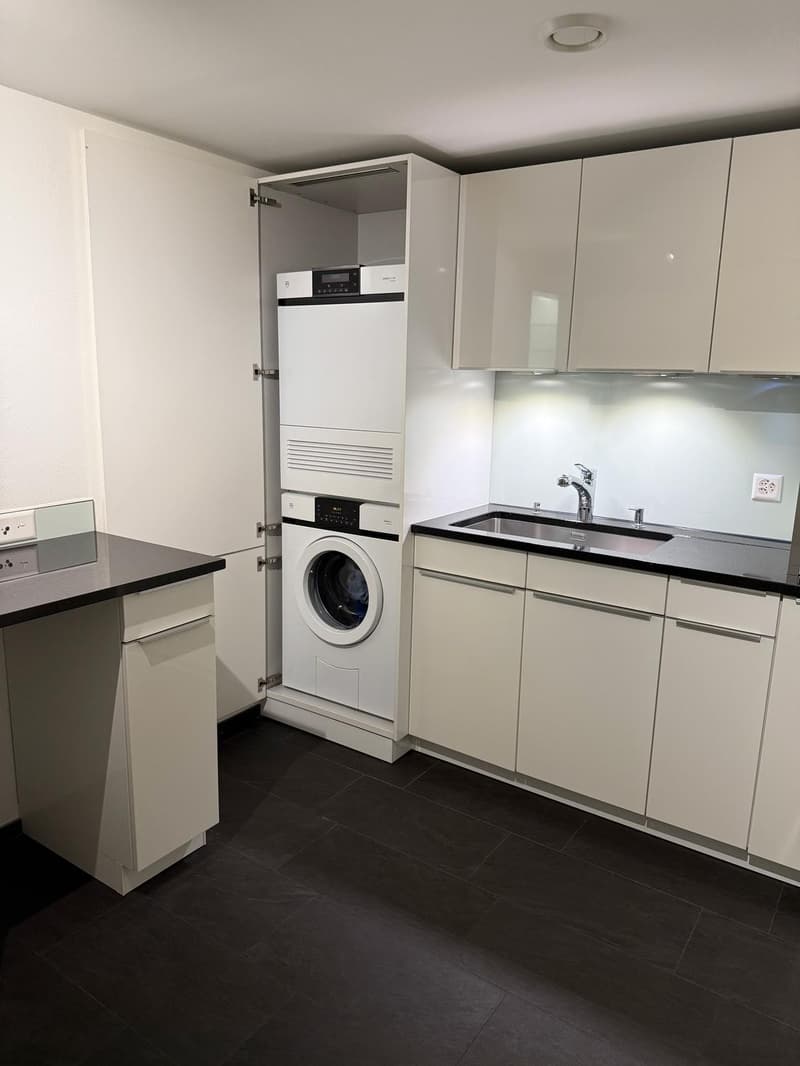 Freshly renovated and Furnished Apartment with Garden, Lake Views and Mid-Century Modern Style (9)