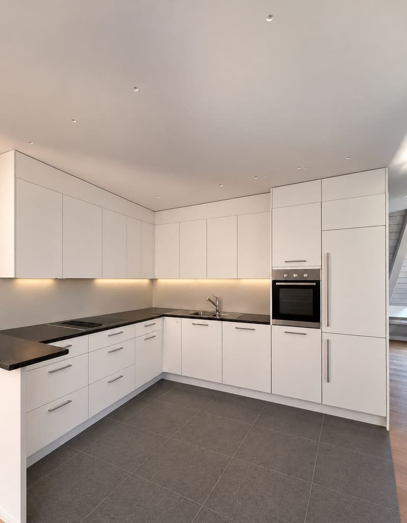 MODERNE, frisch sanierte 2.5-Zimmer-Loftwohnung mit Aussicht (2)