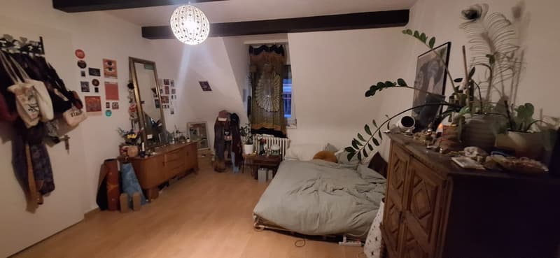 Nachmieter*innen gesucht  4-Zimmer-Wohnung nahe Bäckeranlage (7)