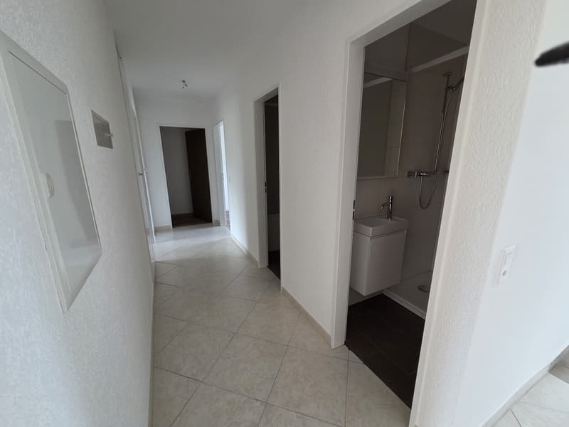Frisch renovierte 3.5 Zimmerwohnung (4)