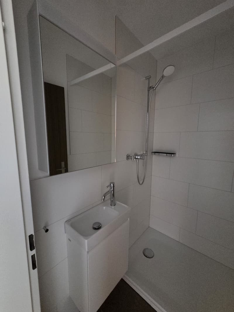 Frisch renovierte 3.5 Zimmerwohnung (5)