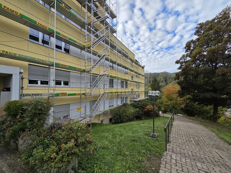 Frisch renovierte 3.5 Zimmerwohnung (2)