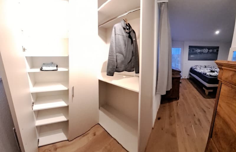 Attika 2.5 Zimmer möbliert befristet (12)