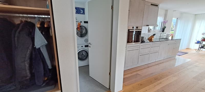 Attika 2.5 Zimmer möbliert befristet (10)