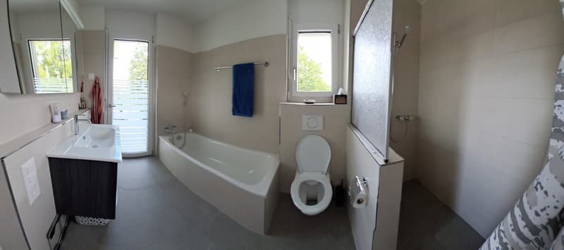 Attika 2.5 Zimmer möbliert befristet (7)