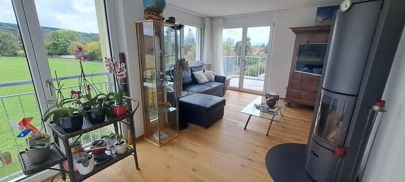 Attika 2.5 Zimmer möbliert befristet (1)