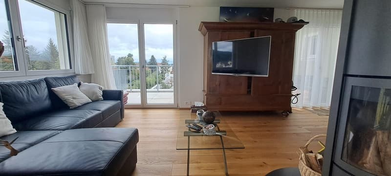 Attika 2.5 Zimmer möbliert befristet (6)