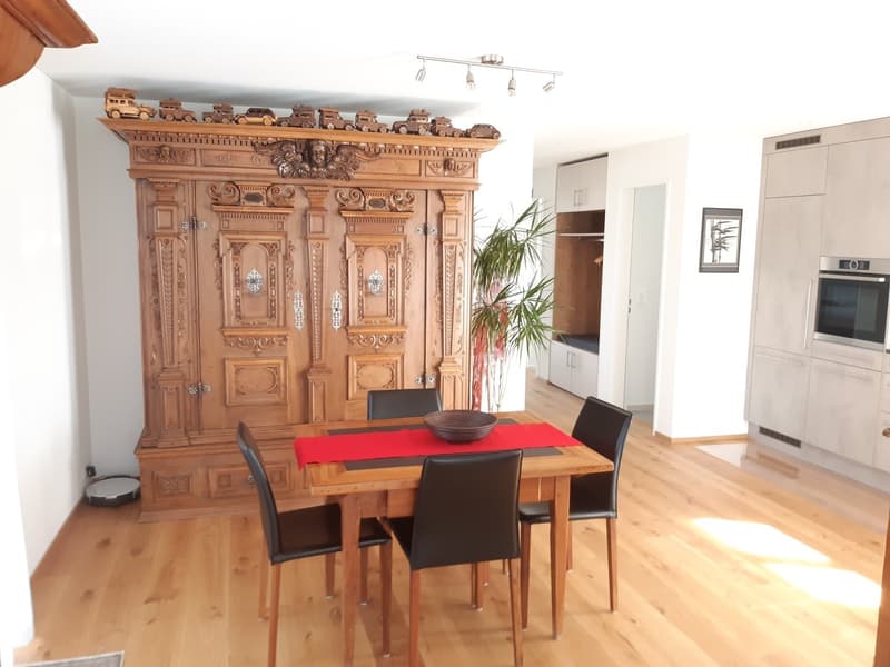 Attika 2.5 Zimmer möbliert befristet (3)