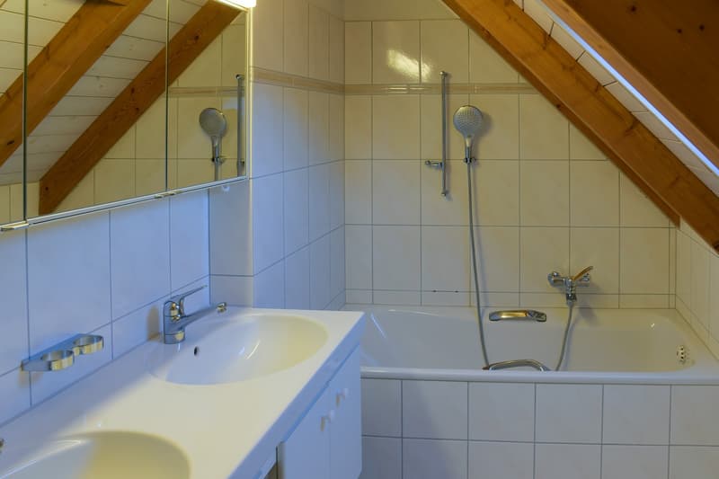Sonnige 4.5-Zimmer-Dachmaisonette mit Traum-Weitsicht im Limmattal / Sunny 4.5-Room Duplex Apartment with Panoramic Views in Oetwil an der Limmat (10)